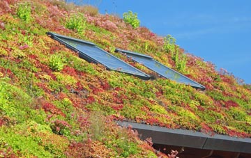 Snow End living roof systems