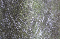 Snow End fibreglass roof work